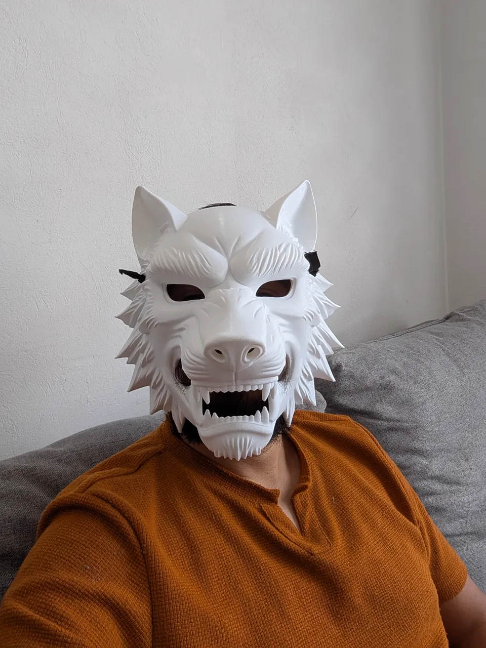 Máscara de lobo · fotografía real 2
